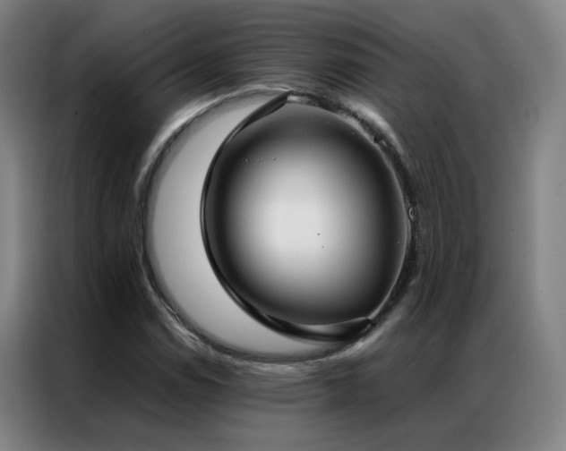 X0000087331114200704201123