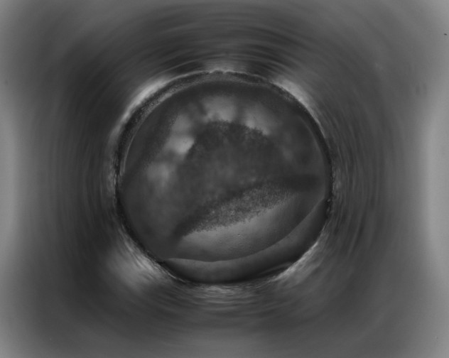 X0000087331115200704201123