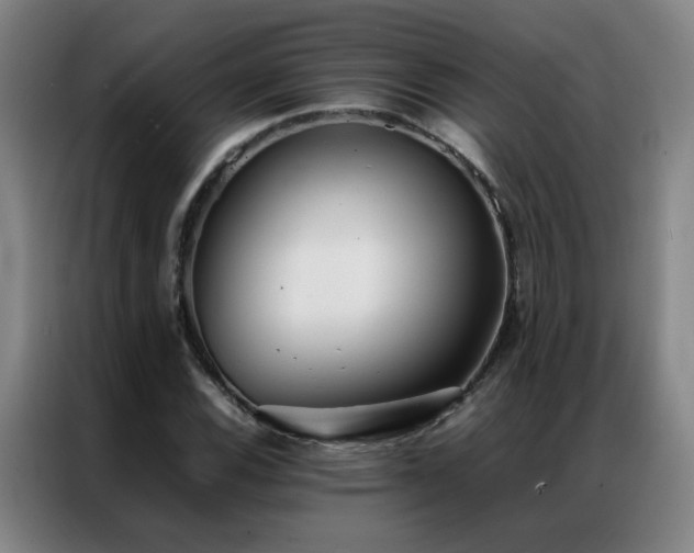 X0000087331116200704201123