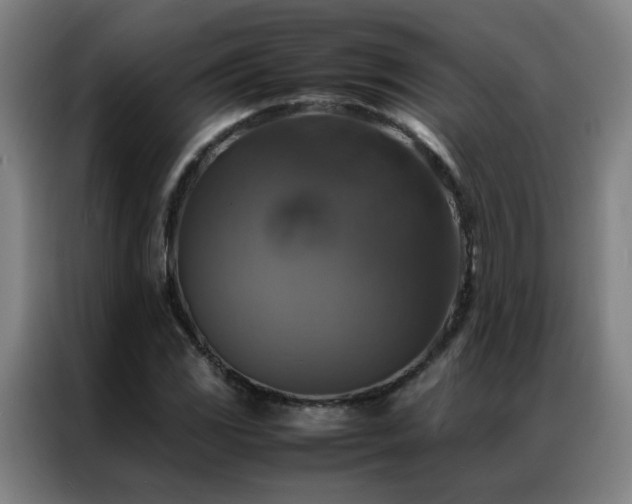 X0000087331117200704201123