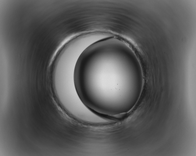 X0000087331118200704201123