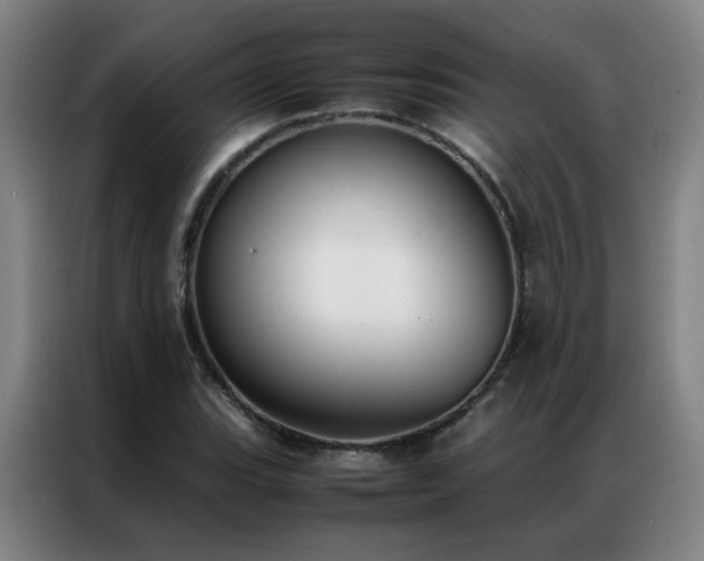 X0000087331119200704201123