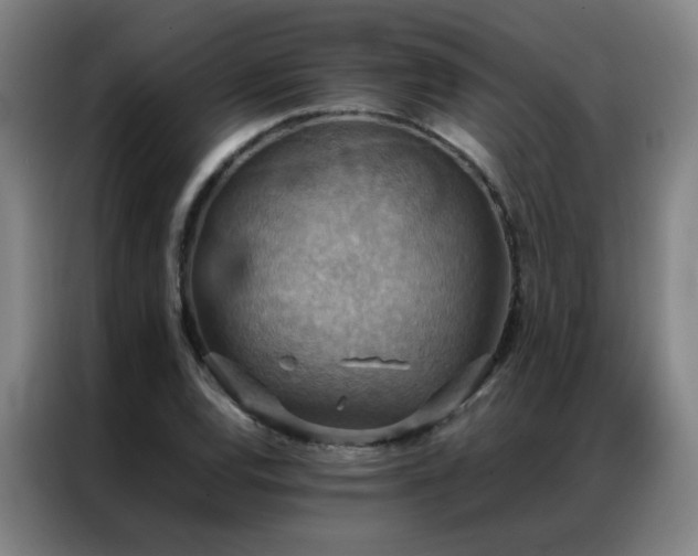 X0000087331120200704201123