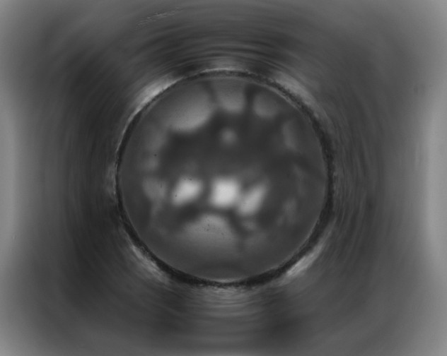 X0000087331121200704201123