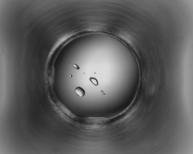 X0000087331122200704201123