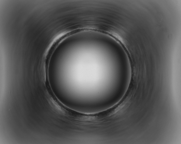 X0000087331123200704201123
