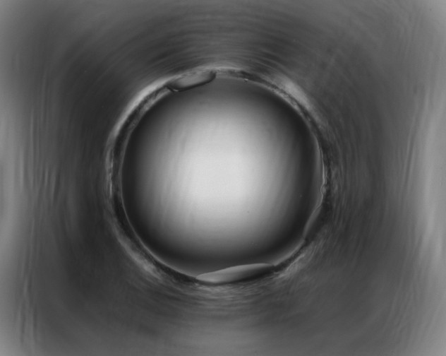 X0000087331124200704201123