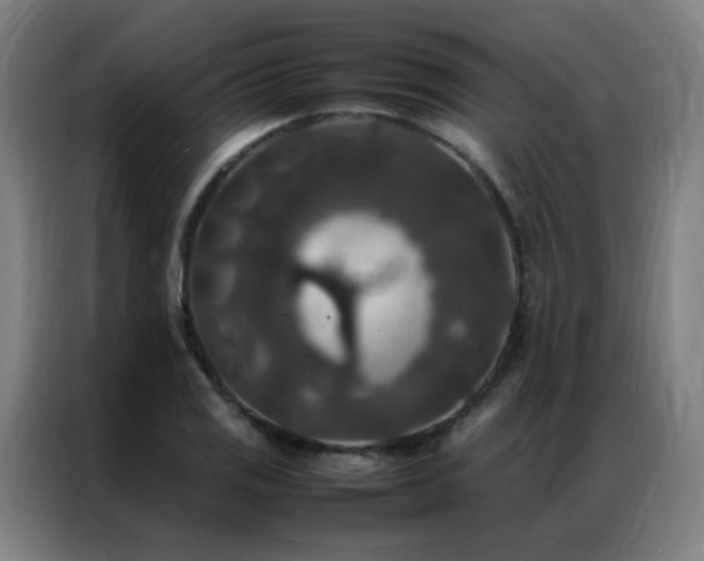 X0000087331125200704201123