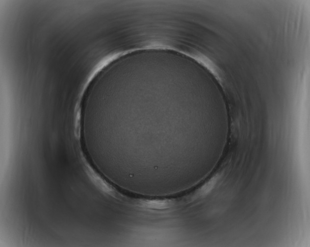 X0000087331126200704201123