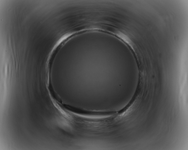X0000087331127200704201123
