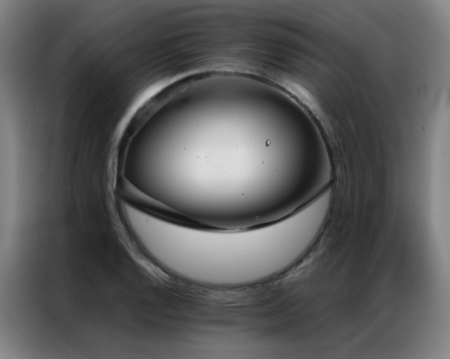 X0000087331128200704201123