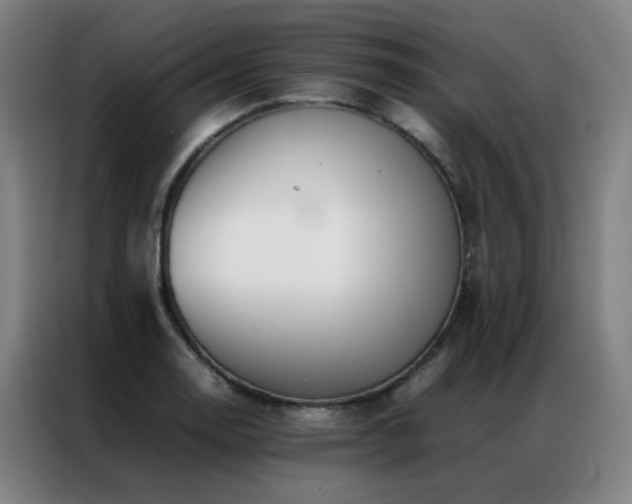 X0000087331130200704201123