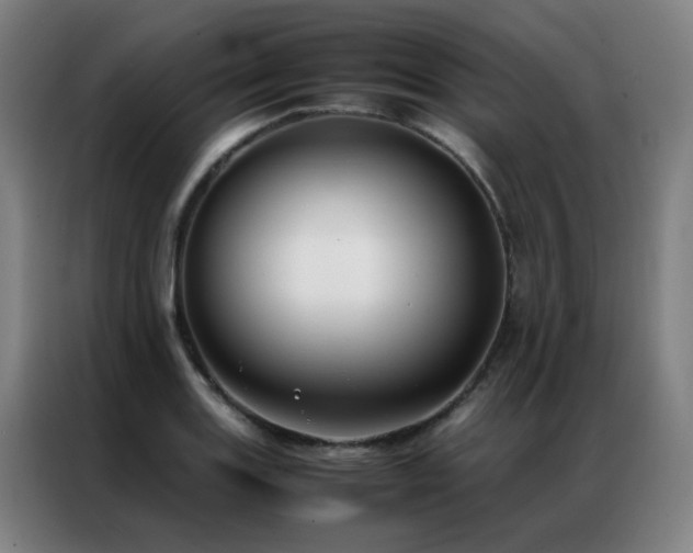 X0000087331131200704201123