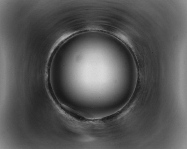 X0000087331133200704201123