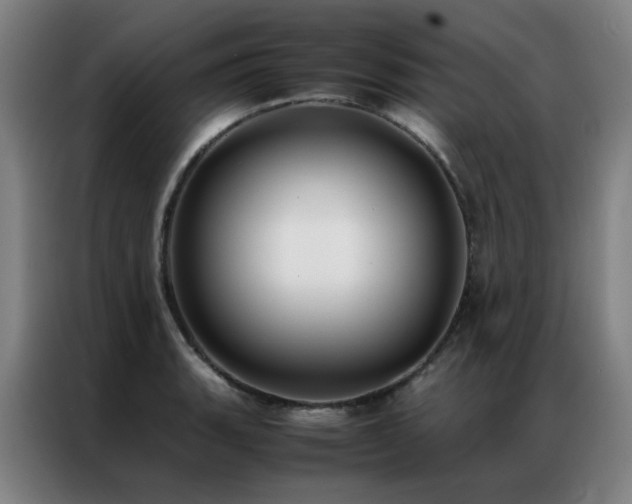 X0000087331135200704201123