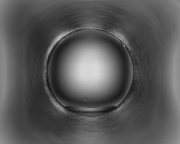 X0000087331136200704201123