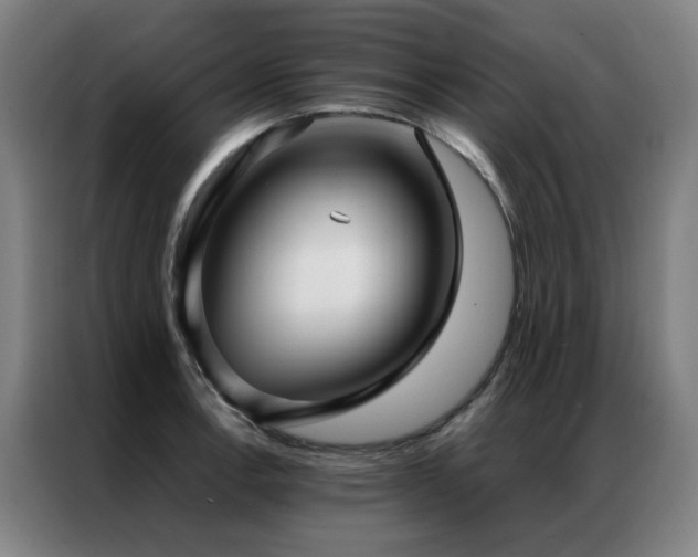 X0000087331138200704201123