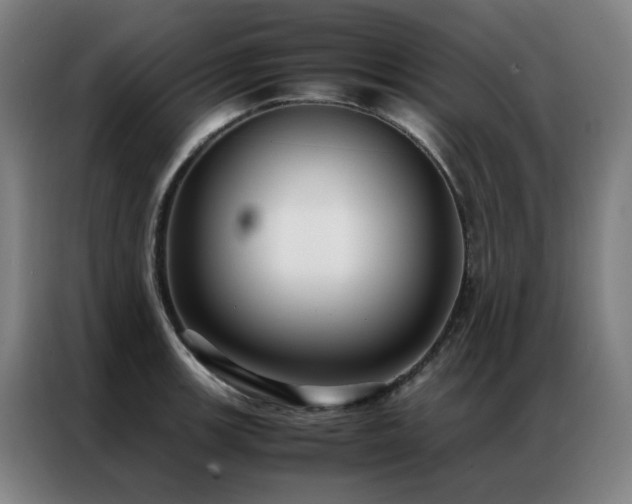X0000087331139200704201123