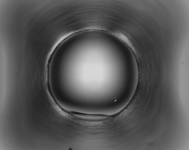 X0000087331140200704201123