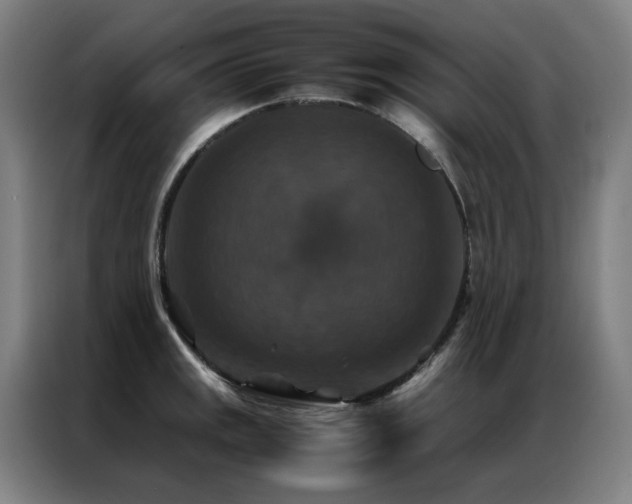 X0000087331141200704201123