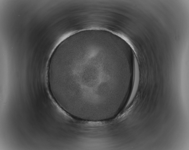 X0000087331142200704201123