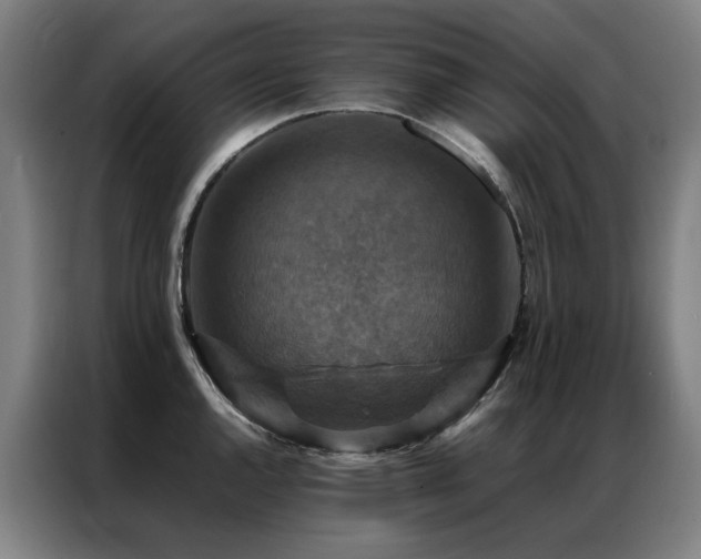 X0000087331144200704201123