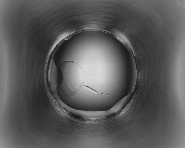 X0000087331146200704201123