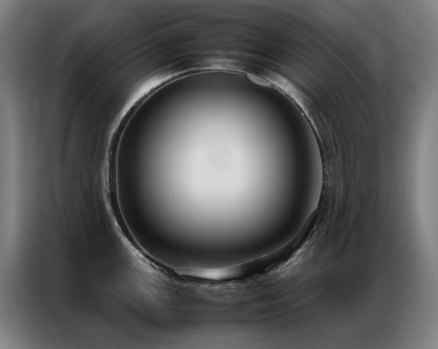 X0000087331147200704201123
