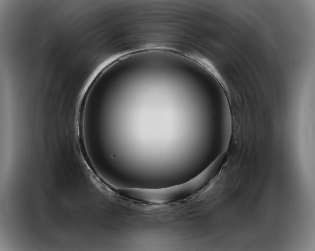 X0000087331148200704201123