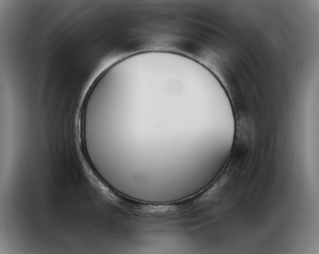 X0000087331150200704201123