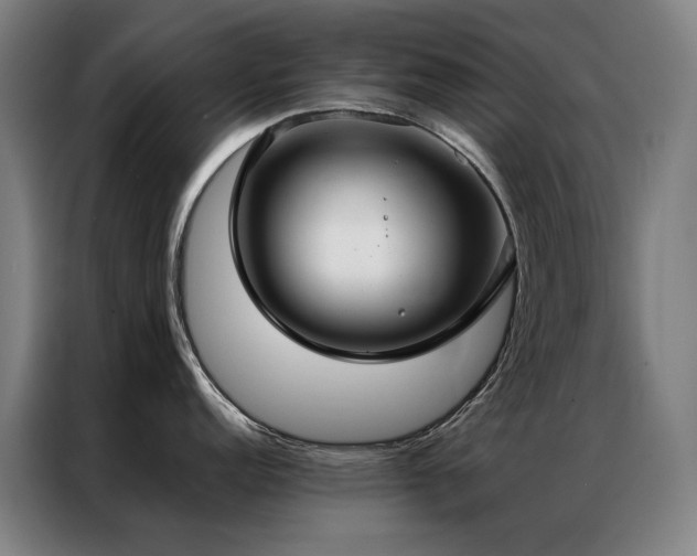 X0000087331152200704201123