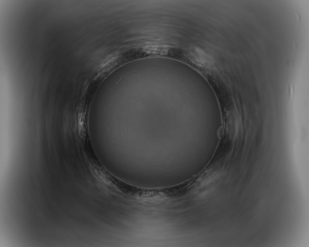 X0000087331154200704201123