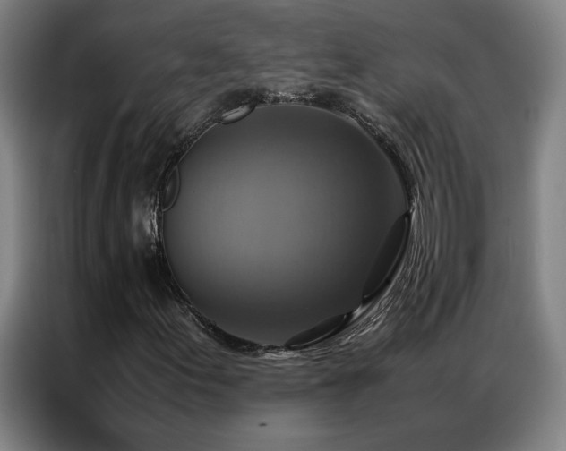X0000087331155200704201123