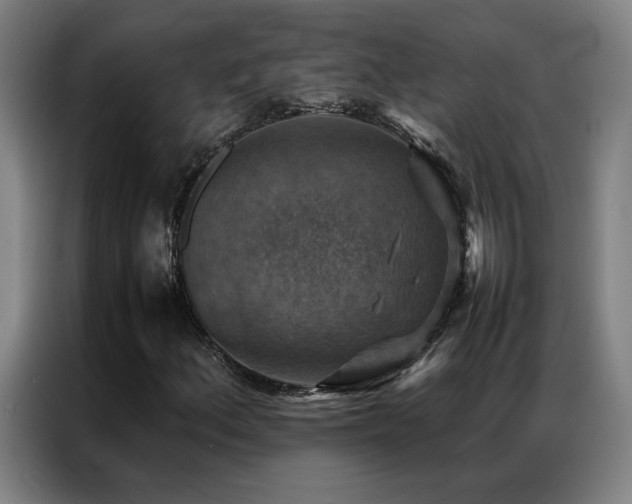 X0000087331156200704201123