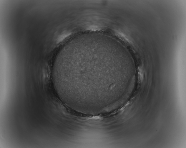 X0000087331158200704201123