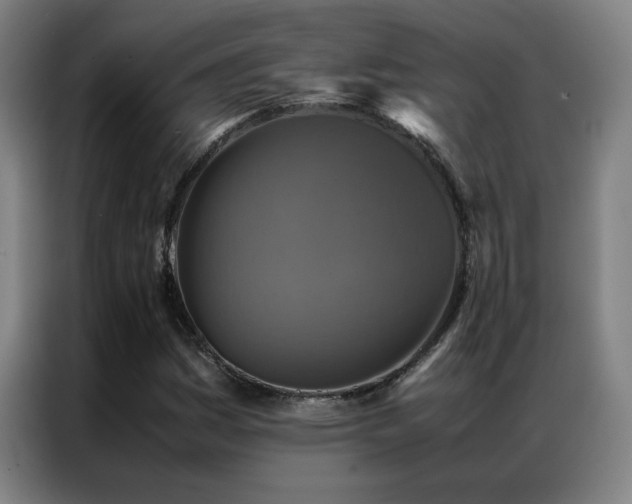 X0000087331161200704201123