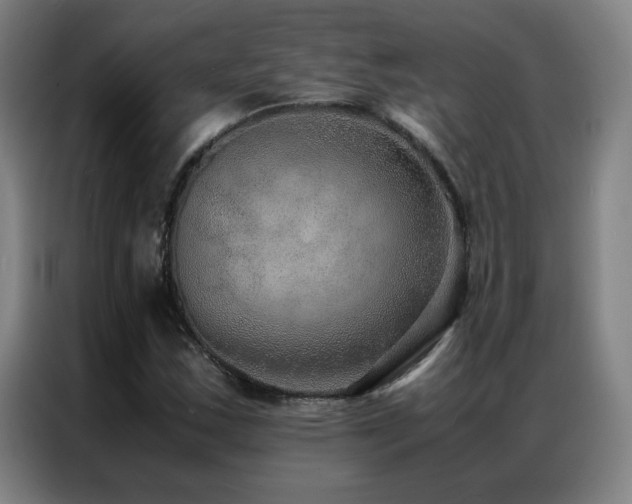 X0000087331163200704201123