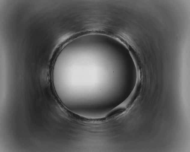 X0000087331164200704201123