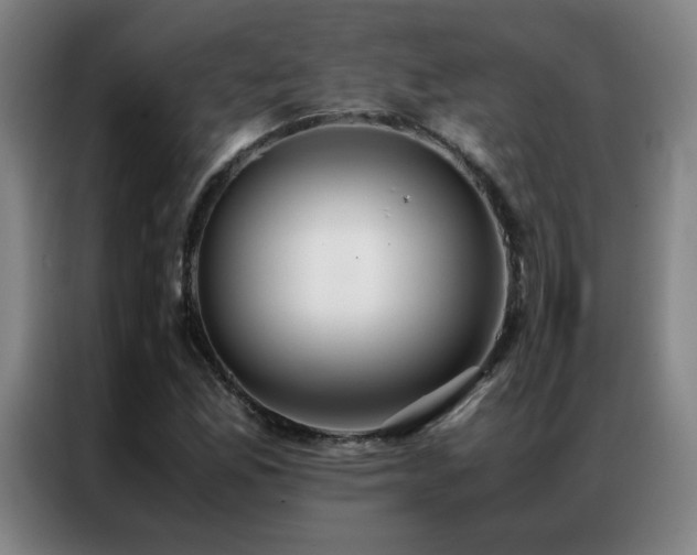 X0000087331165200704201123