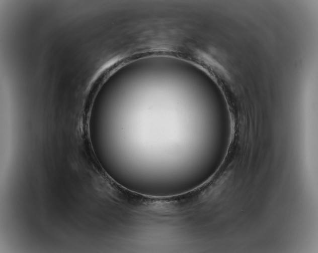 X0000087331166200704201123
