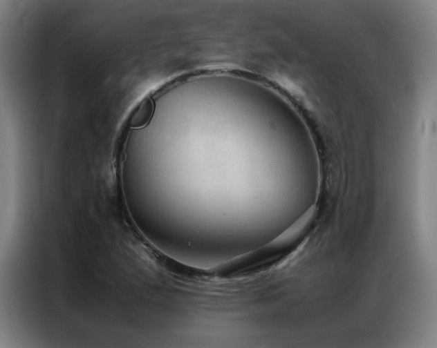 X0000087331167200704201123