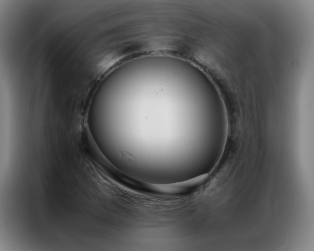 X0000087331169200704201123