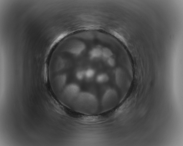 X0000087331171200704201123