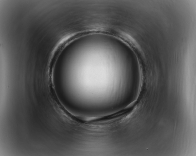X0000087331172200704201123
