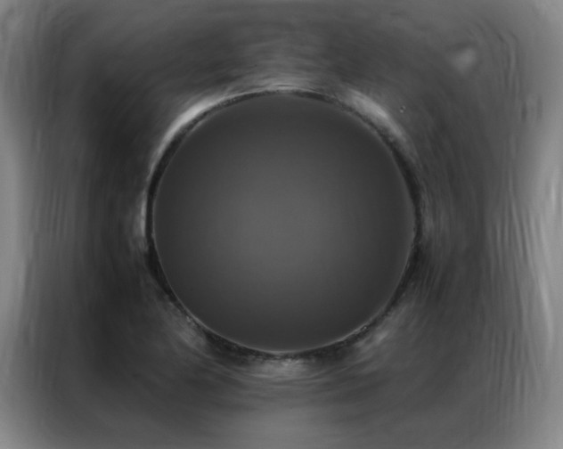 X0000087331174200704201123