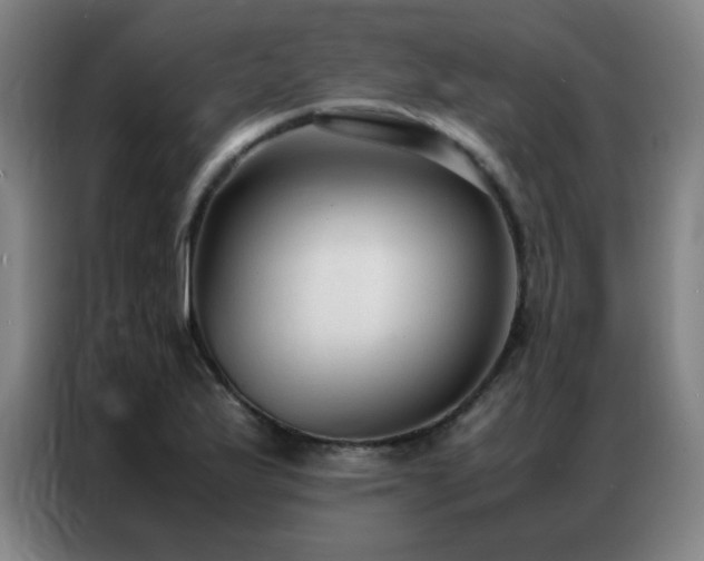 X0000087331175200704201122