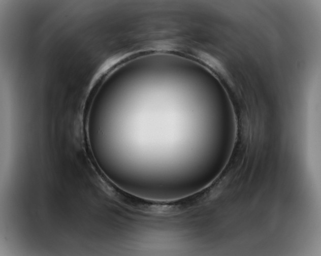 X0000087331176200704201122