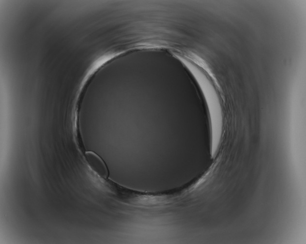 X0000087331179200704201122