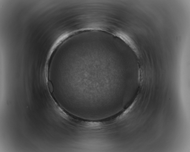 X0000087331180200704201122