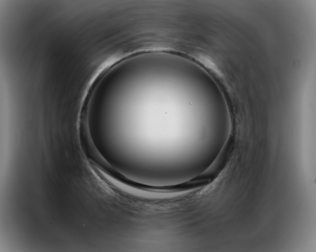 X0000087331181200704201122
